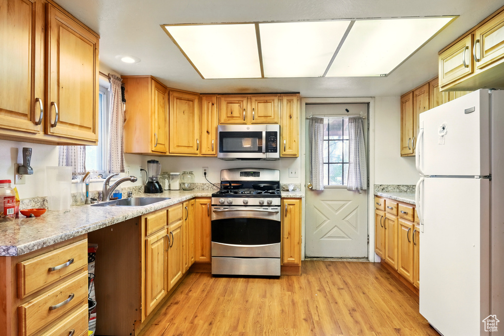 Kitchen featuring stainless steel appliances, a sink, light wood-style flooring, healthy amount of natural light, and recessed lighting