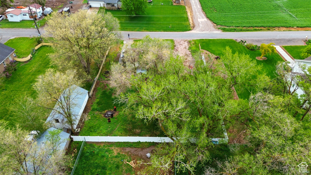 Bird\\\'s eye view