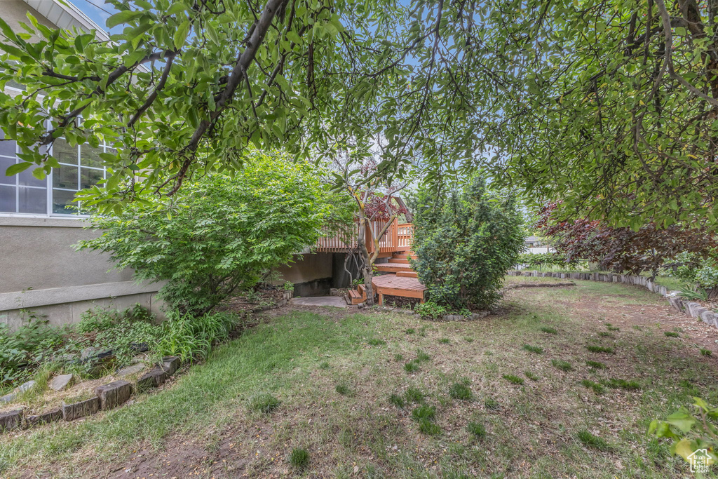 View of yard featuring a deck