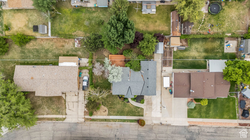 Bird\'s eye view