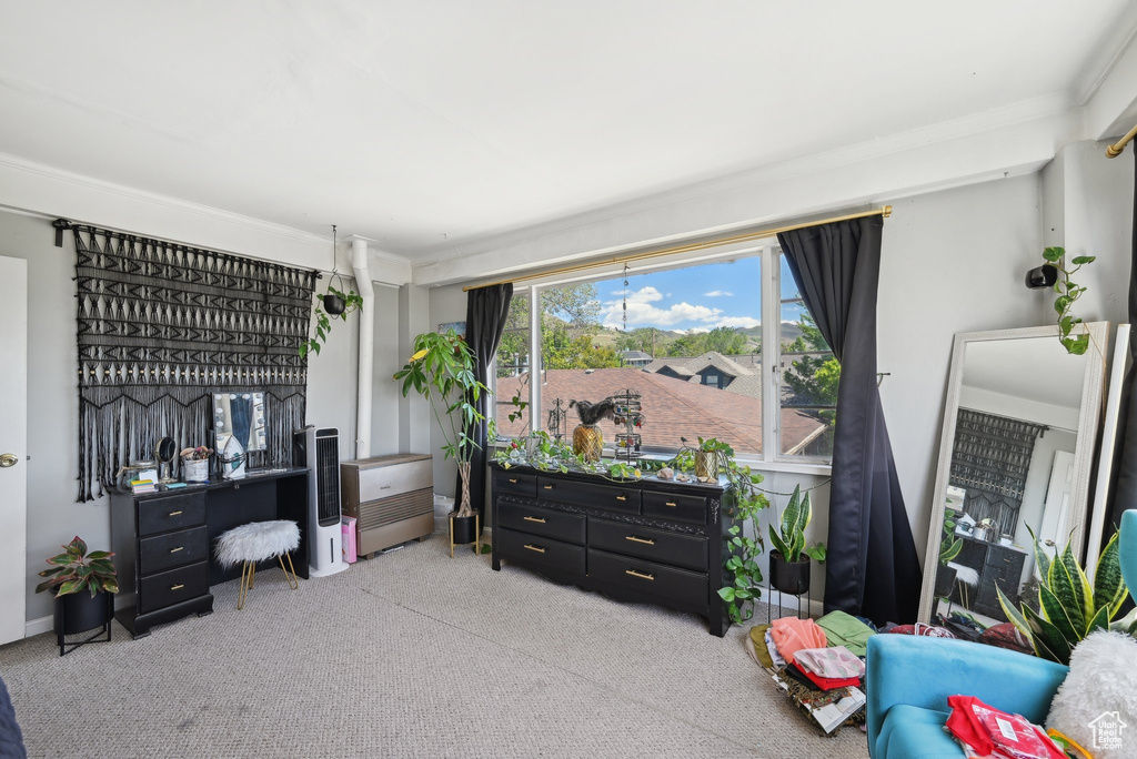 Office space with carpet floors and crown molding