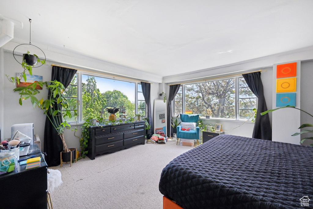 Carpeted bedroom with multiple windows