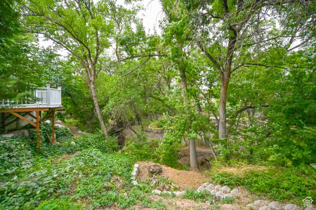View of yard with a wooden deck