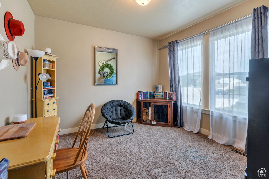 Home office featuring carpet floors and baseboards