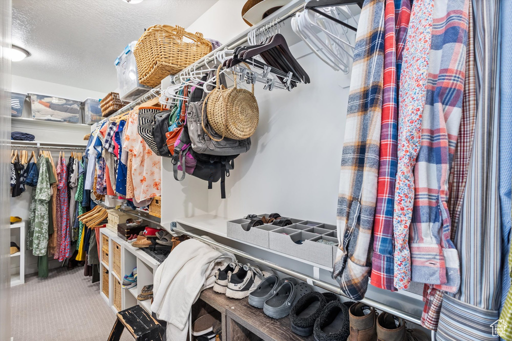 Walk in closet featuring carpet floors