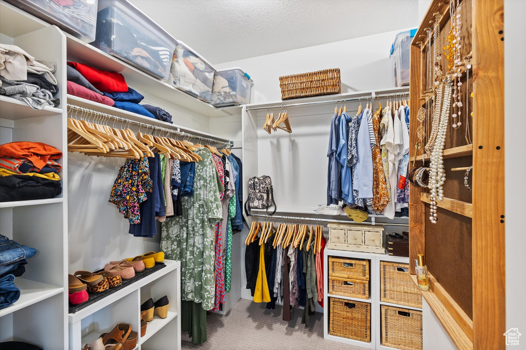 Walk in closet with carpet