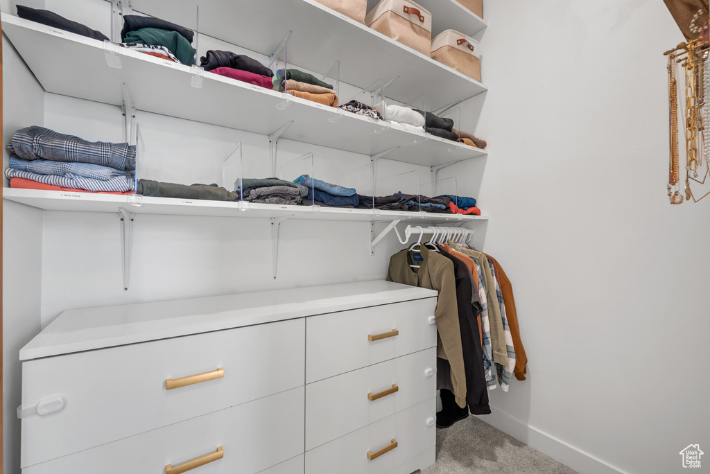 Spacious closet with light colored carpet