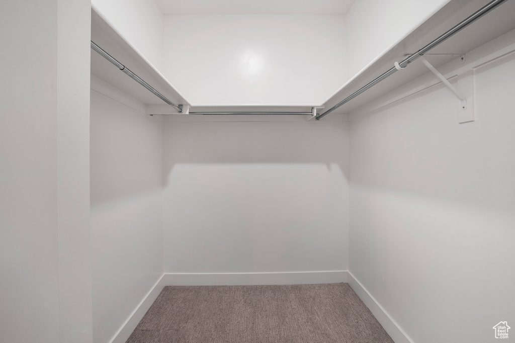 Walk in closet featuring carpet