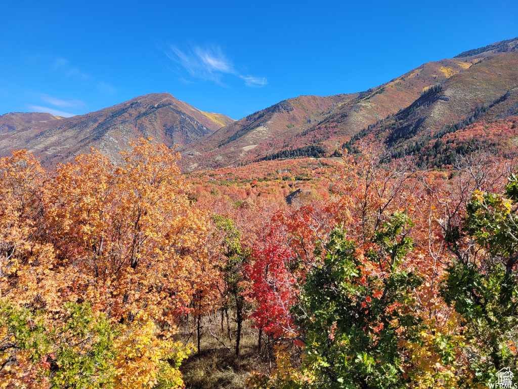 Mountain view