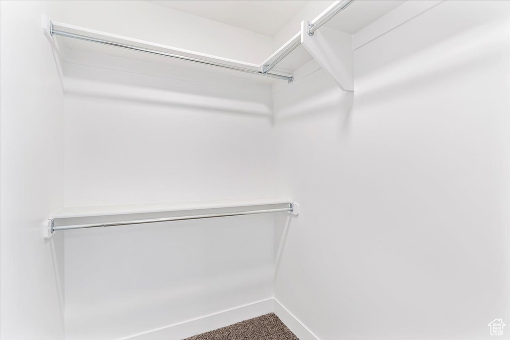 Spacious closet featuring carpet