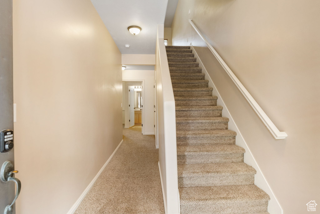 Stairs with carpet and baseboards