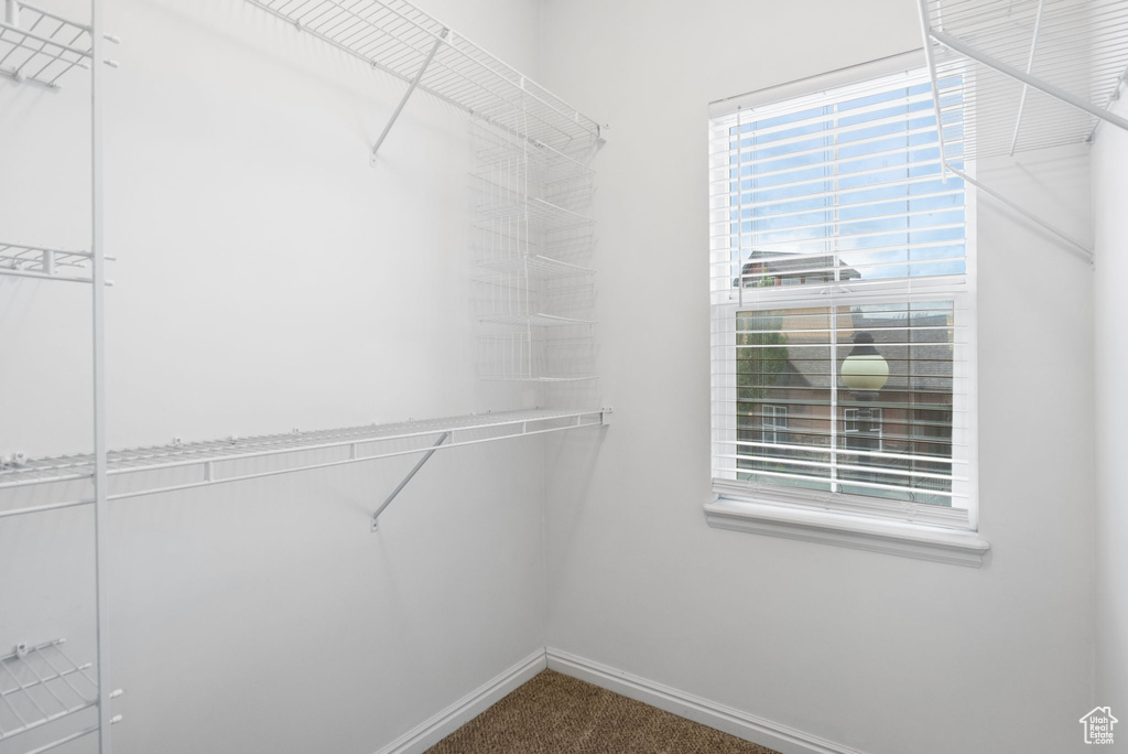Spacious closet with carpet flooring