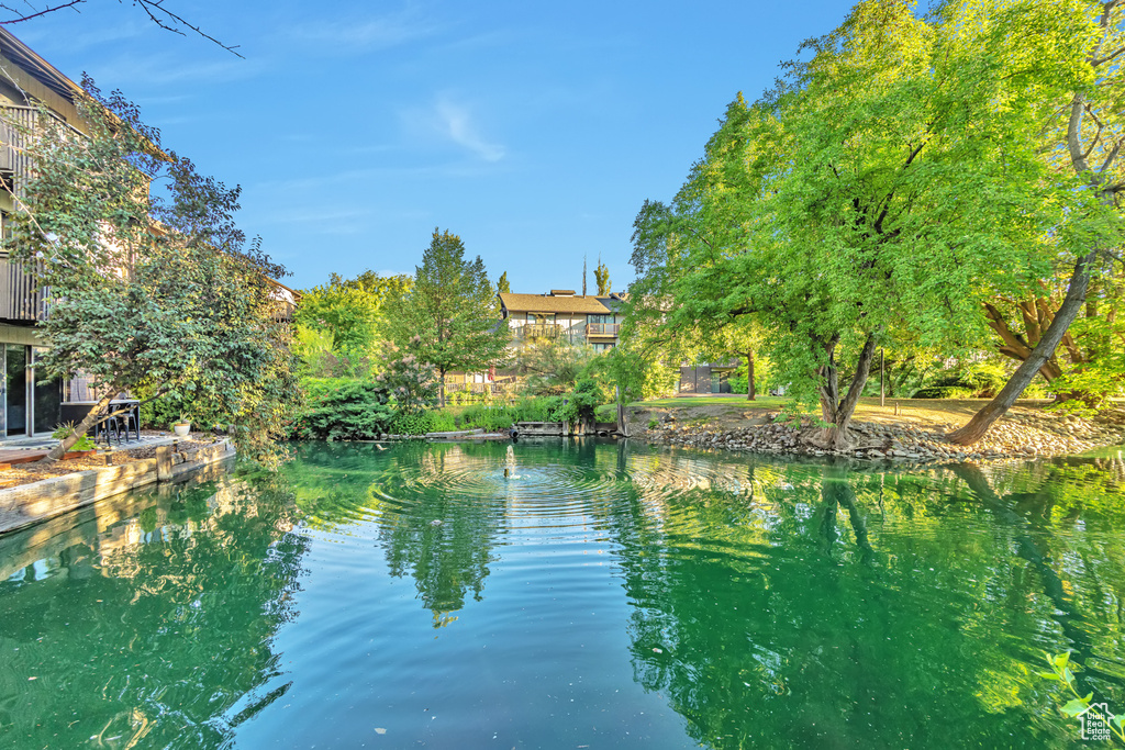 Water view