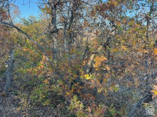 10 E SPRING MOUNTAIN DR Springville, UT 84663