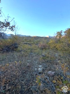 10 E SPRING MOUNTAIN DR Springville, UT 84663