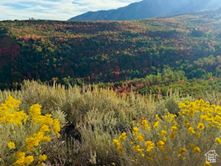 View of mountain backdrop featuring a forest