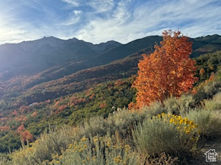 View of mountain backdrop with a heavily wooded area