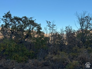 10 E SPRING MOUNTAIN DR Springville, UT 84663