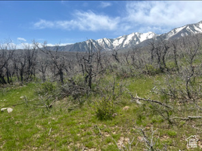 View of mountain background