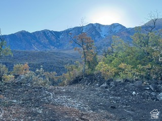 10 E SPRING MOUNTAIN DR Springville, UT 84663