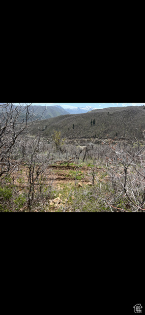 View of mountain background