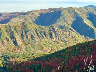 View of mountain backdrop with a forest