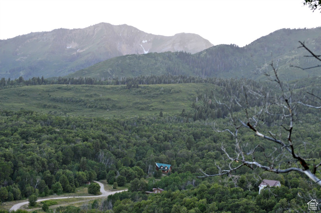 Mountain view with a forest