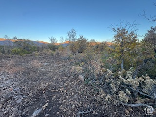 10 E SPRING MOUNTAIN DR Springville, UT 84663