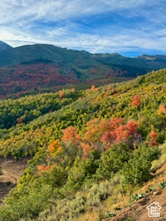 Mountain view with a heavily wooded area