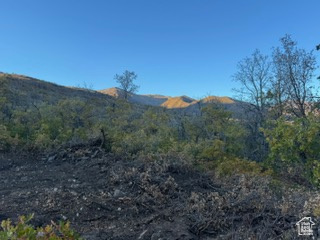 10 E SPRING MOUNTAIN DR Springville, UT 84663