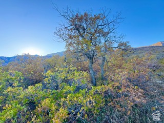 10 E SPRING MOUNTAIN DR Springville, UT 84663