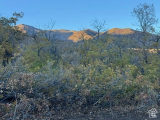 10 E SPRING MOUNTAIN DR Springville, UT 84663