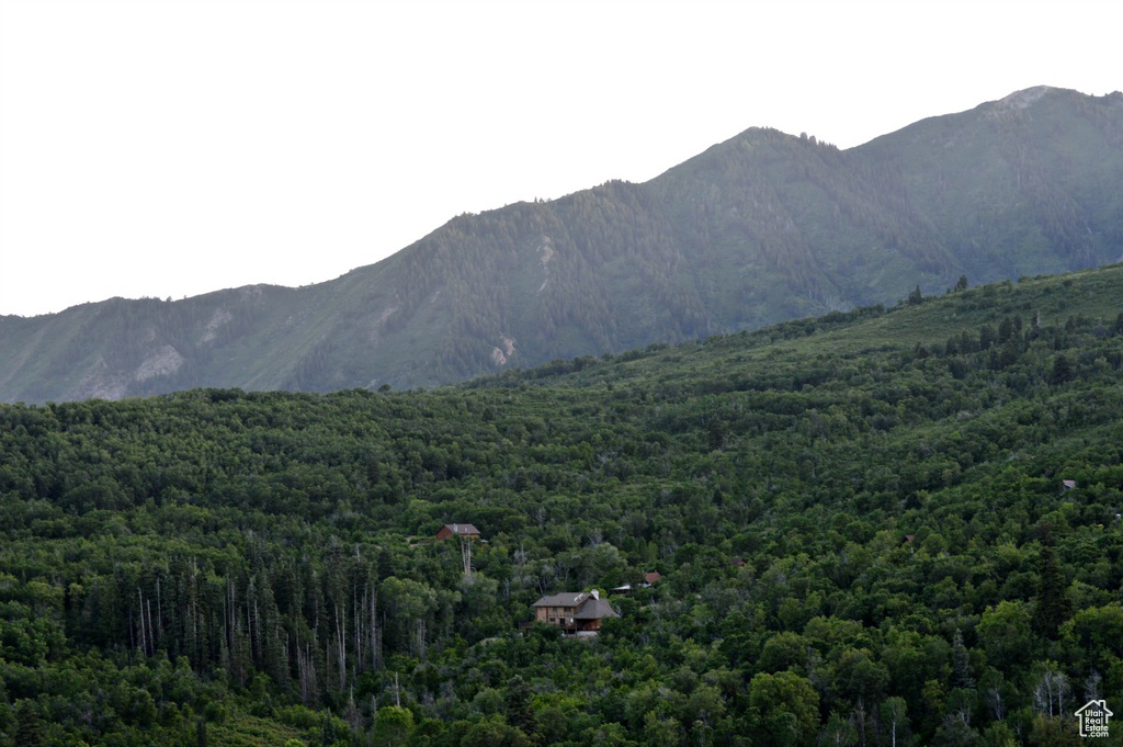 View of mountain background featuring a forest