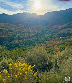 Mountain view featuring a forest