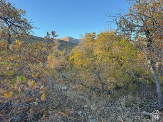 10 E SPRING MOUNTAIN DR Springville, UT 84663