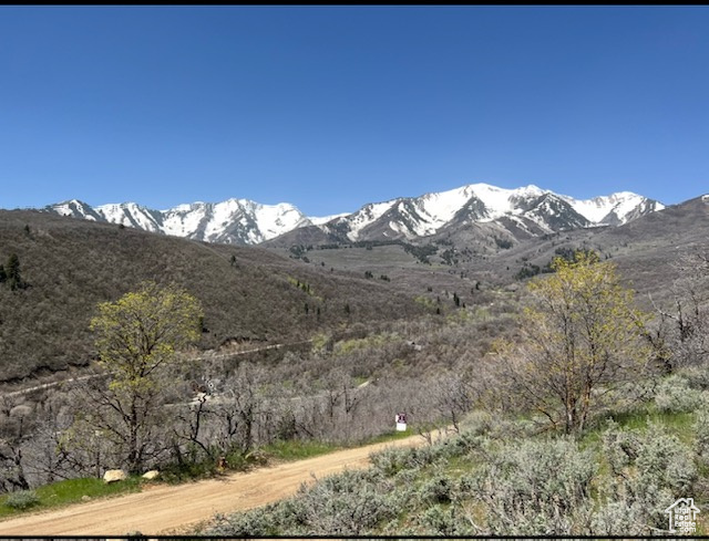 Mountain view