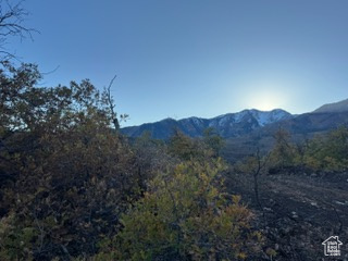 10 E SPRING MOUNTAIN DR Springville, UT 84663