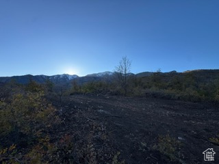 10 E SPRING MOUNTAIN DR Springville, UT 84663