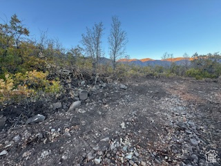 10 E SPRING MOUNTAIN DR Springville, UT 84663