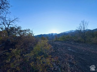 10 E SPRING MOUNTAIN DR Springville, UT 84663