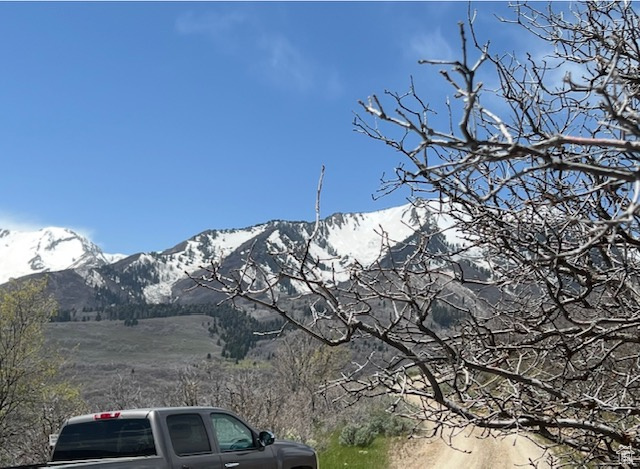 Mountain view