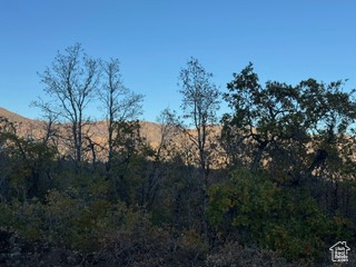 10 E SPRING MOUNTAIN DR Springville, UT 84663