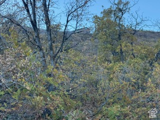 10 E SPRING MOUNTAIN DR Springville, UT 84663