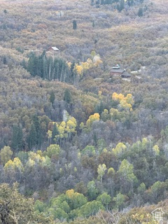 10 E SPRING MOUNTAIN DR Springville, UT 84663