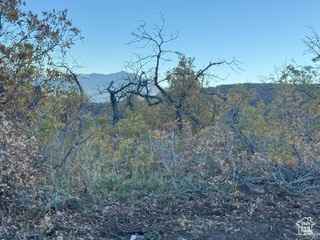 10 E SPRING MOUNTAIN DR Springville, UT 84663