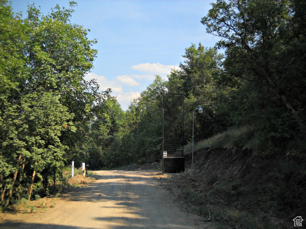 View of street featuring a view of trees and street lights