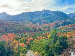 Mountain view featuring a forest