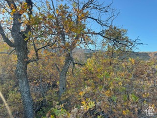 10 E SPRING MOUNTAIN DR Springville, UT 84663