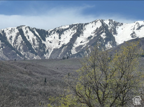 View of mountain backdrop