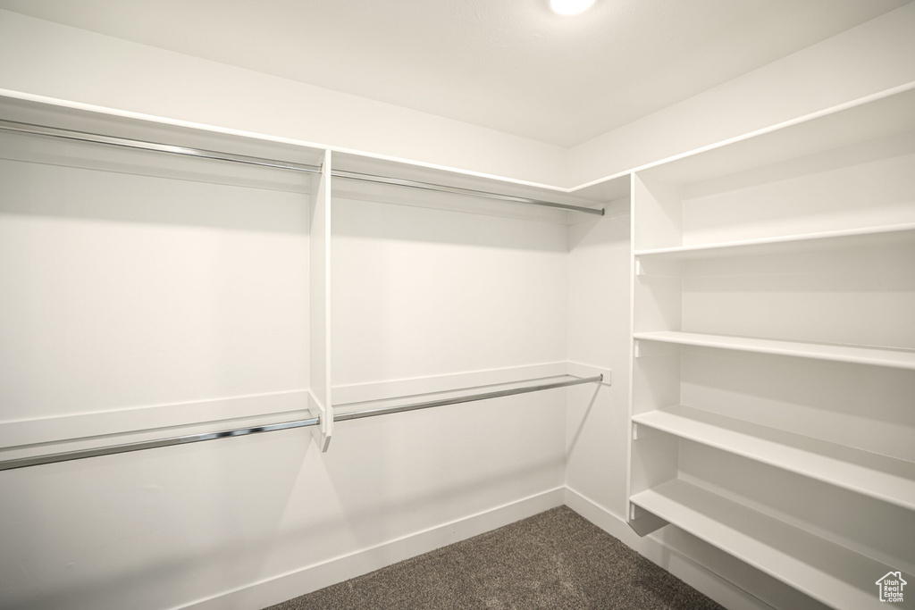 Walk in closet with dark colored carpet